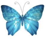 Butterfly boutique group