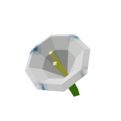 Moonflower