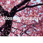 blossom beautys