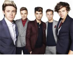 1 Direction Fan Club