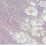 » glitter buddies «