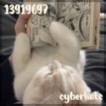 cyberkats