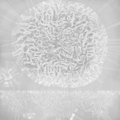 Leak asset thumbnail