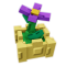 Castle Crocus produce