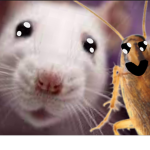 Rat and Roach Club