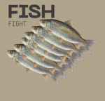 the fish studios
