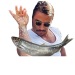 Salted Samon