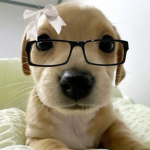 *>_<*