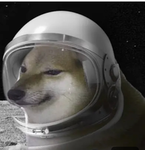 Cheems to the moon group!
