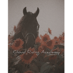 ~ Cloud Riding Academy ~