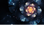 Stary Fleurs