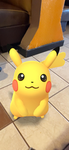 Pikachu kingdom!!!!