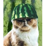 DJ'S Melon gang