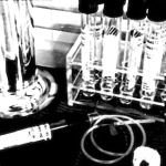 phlebotomist