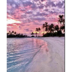 •~ SUNSET ~•