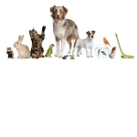 dogs are more club