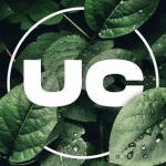 UhBeary's Community