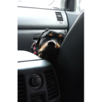 THE ROTTWEILERS