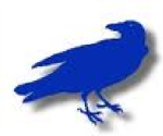 Raven group