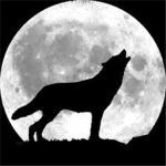BloodHound Clothing ©