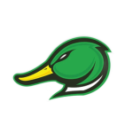 W-Ville Ducks