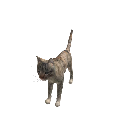 giant cat