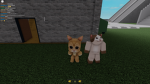 ANIAML WAR ONLY ANIMALS