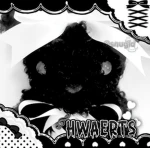 hwaerts Group Thumbnail