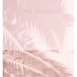 ✧