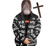Christ monkeys