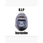 help us bring back harambe