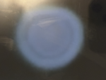 WawaMilk UGC