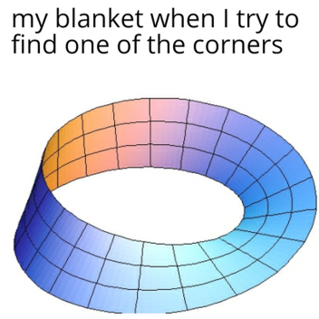 Non-Euclidean Simulator