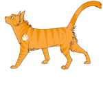 Sunclan(RP GROUP)