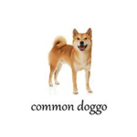 Doggo Union of doggo