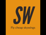 Sky wing airways