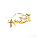 Kawaii Pastel <3