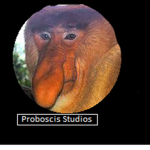Proboscis Studios