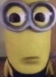 The cult of minion