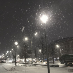 Winter lovely’s