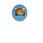 Best Admins