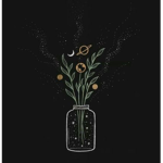 Moon Clothinxg