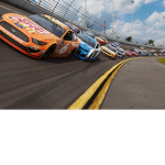 The Nascar Gang