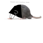 Soldier rats!