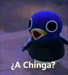 Crapz