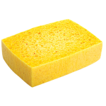The Sponge Cult