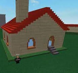 The house 
