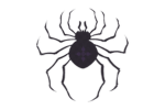 (Spiders)