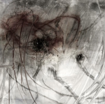 muse 光