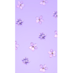 The Purple Petals